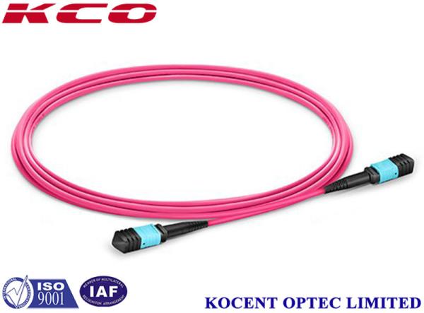 Buy cheap 3m 5m 10m 30m OM4 MPO MTP Multimoce Patch Cord 50/125 LSZH Violet Pink Fiber Optic Cable from wholesalers