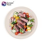 Wholesale high quality biodegradable corn starch 9 inch plastic plate for food