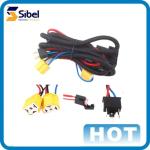 Hot Sale Suppliers Stereo Auto Electrical Cable Assembly Wire Harness Kit For