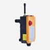 Buy cheap Telecontrol F24-12S Overhead Crane Remote Control Industrial Crane Remote Controller from wholesalers