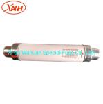 Indoor 40.5Kv High Voltage Fuse Link Tube Type Fuse Current Limiting Xrnm Series