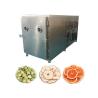 Buy cheap 100KG Versatile Alat Freeze Dryer Vegetable Freeze Drying Machine from wholesalers