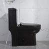 Buy cheap Compact Trapway Skirted One Piece Toilet Closet Flush Water Easy Clean from wholesalers