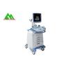 Buy cheap Clinic Medical Ultrasound Equipment Diagnostic Ultrasound Scanner Machine from wholesalers