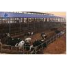 Buy cheap 2-10 Meters Height Steel Structure Warehouse Steel Farm Sheds from wholesalers