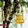Buy cheap Hanging Outdoor Gourd Fly Fruit Wasp Flying Insect Trap Killer Catcher Pest Control from wholesalers
