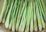 CAS 8000-29-1 Antioxidant Citronella Extract Oil