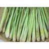 Buy cheap CAS 8000-29-1 Antioxidant Citronella Extract Oil from wholesalers