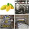 Buy cheap Paste Processing Line Mango Processing Line Plant In PET Glass Packing from wholesalers