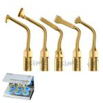 25KHz Piezo Bone Surgery Tips For Sinus Lifting Tooth Extraction Periodontal