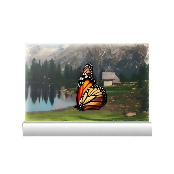 Touch OLED Transparent Screen Cutting Edge Display Science Technology Exhibition