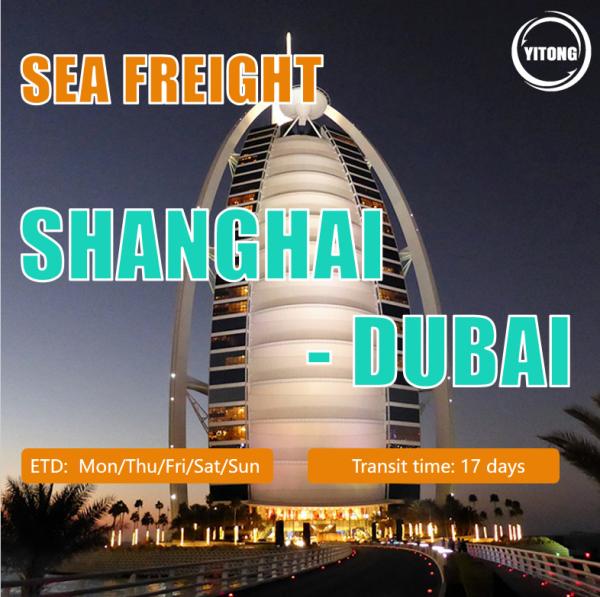 Buy cheap Sea Freight From Shanghai To Dubai from wholesalers