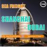 Buy cheap Sea Freight From Shanghai To Dubai from wholesalers