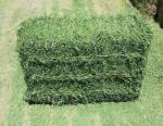Garden Black 3ply 8" Baler Twine Pp Split Film Spool