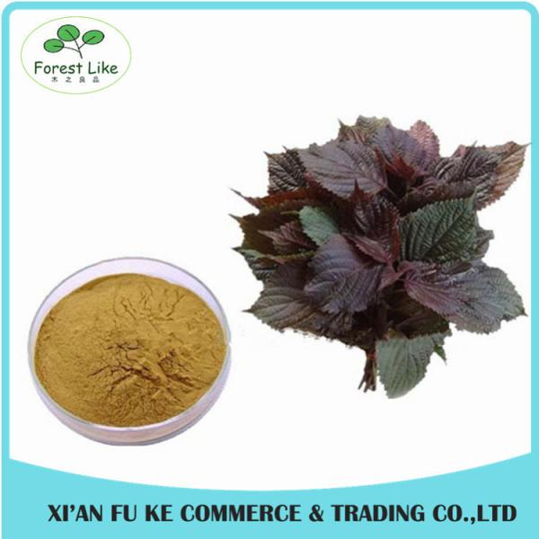 Buy cheap Food Grade Chinese Traditional Herbal Perilla Frutescens Leaf Extract from wholesalers