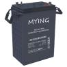 Buy cheap Golf cart battery, EV battery, deep cycle battery, 6V 335Ah, equivalent of Trojan J305P from wholesalers