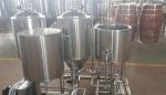 100L micro pub brewery equipment home brewing machine