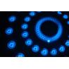 Buy cheap 3*5W RGB LED Magic Ball + Strobe LED Beam Light For Bar And Club , LED Lighting Effects from wholesalers