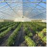 Buy cheap High Tunnel Plastic Film Single-Span Greenhouse Poly Tunnel 8m For Vegetable from wholesalers