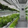 Buy cheap Vertical Farming Container Greenhouse In Shipping Container Design from wholesalers