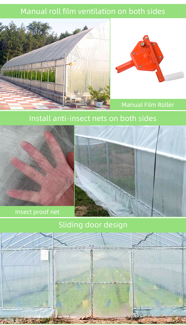 Affordable 6x15m PE Film Tunnel Greenhouse for Farming Applications