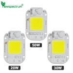 20W Warm White LED Module
