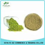 Rich Nurtrition Instant Freeze -Dried Green Mung Bean Powder