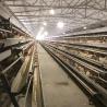 Buy cheap Hot Galvanized Automatic Layer Cage Broiler Cage For Farm Equipment Automatic Chicken Cage System from wholesalers