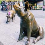 Large Animal Bronze Pig Sculpture Outdoor With Letter Design