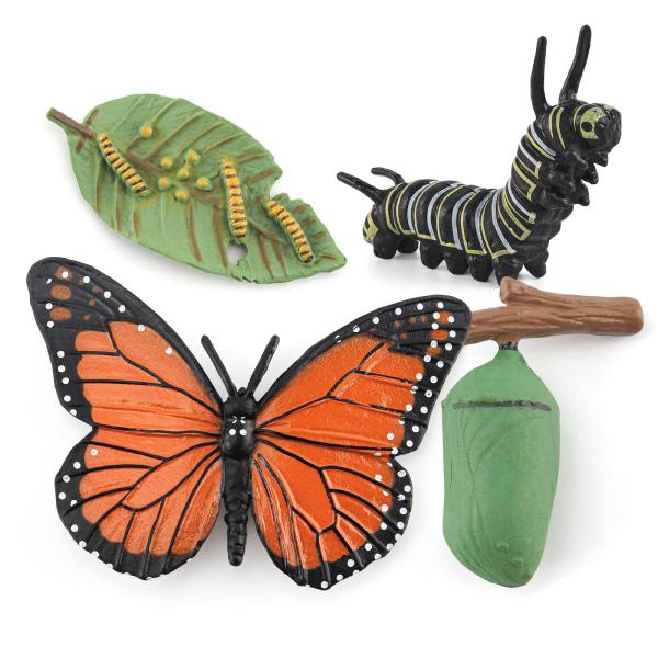 Buy cheap Realistic 4 PCS Butterfly Animal Life Cycle Insect Growth Model Toys Party Favors Toy for Boys Girls Kids from wholesalers