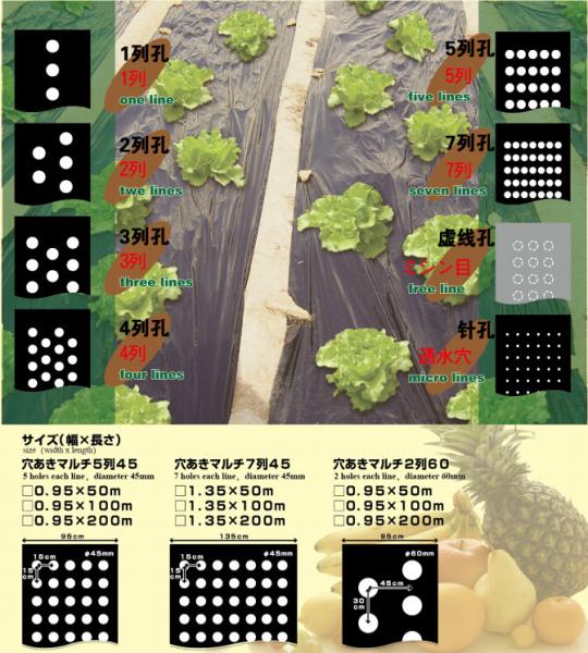 Agriculture Ground Cover/Mulch Film/Weed Mat,Biodegradable black and white film