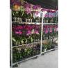 Buy cheap Galvanized Flower French Flower Cart 22*54*74.8 Inch For Growing from wholesalers