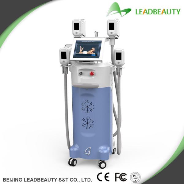 Buy cheap Fat freeze Kryolipolysis slimming machine from wholesalers