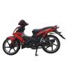 Buy cheap South America Hot Super Cub 50 Motorcycle High Performance Motorcycle Cub 125CC Cheap Import Motorcycles from wholesalers