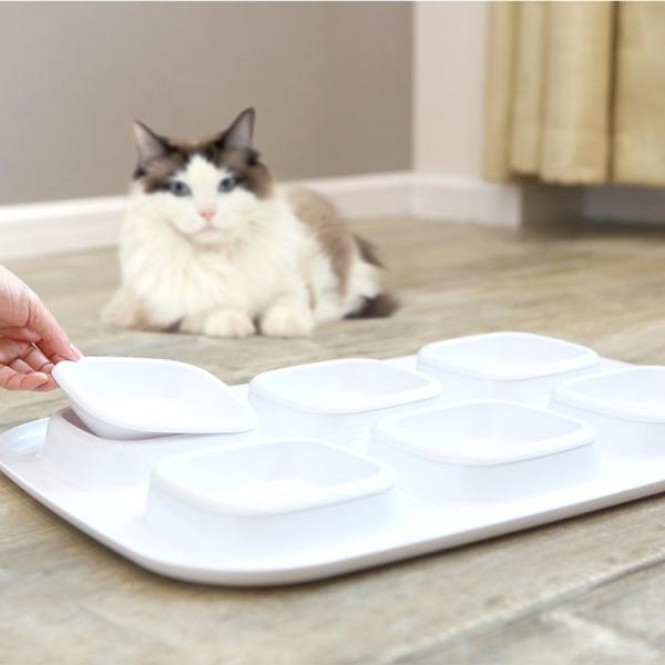 Buy cheap Cat Bowl Double Bowl Six Bowl Curling Leak-Proof Cat Food Bowl Cat Water Bowl Pet Bowl Cat Supplies from wholesalers