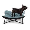Buy cheap Medium or Large Metal Frame Off Ground Dog Cat Cot from wholesalers