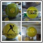 Digital Printing Sport Balloons