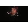 Buy cheap 1.4g Un0336 Online Consumer Fireworks 25 Shots 500g Salute Cake Fireworks from wholesalers