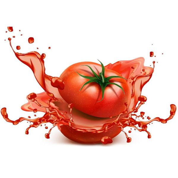 SUS316 Automatic Chili Onion Tomato Sauce Processing Machine Industrial Ketchup