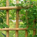 100% Natural Raw 240cm Bamboo Pole Building Deoration 60cm To 595cm