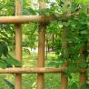 Buy cheap Customized Dry Straight Outdoor Big Moso Bamboo Poles 60cm To 595cm Natural Color from wholesalers