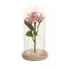 Buy cheap Imitation rose, everlasting flower, glass cover, Mother's Day, Valentine's Day, Christmas gift decoration and ornament manufacturer wholesale from wholesalers