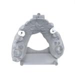 Permanent Crown Resin Bending Modulus 4500 Mpa Shore D 92 for Dental Restoration