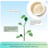 Buy cheap Irrigation Acid Powder Fertilizer Amino Acid 45% Sulfate Chloride Free for Landscape Fruits Potatoes from wholesalers