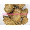 Buy cheap Rhubarb Root P.E. RHB-Anthraquinones 50% UV；10：1, Chinese Manufacturer , top quality from wholesalers