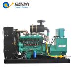 400KVA Natural Gas Generator LPG Generator Biogas Generator