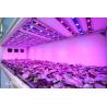 Buy cheap 1W 3W 620nm 625nm 660nm 665nm 3535 Emc UV LED Chip from wholesalers