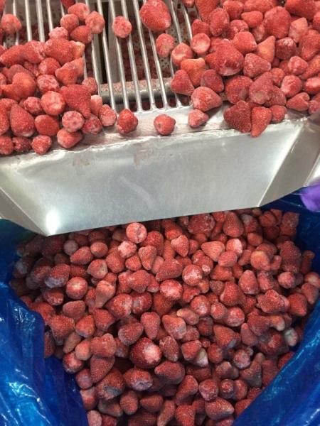 Buy cheap Certified Premium Quality Kinds Of Chinese IQF Frozen Fruits IQF Strawberry from wholesalers