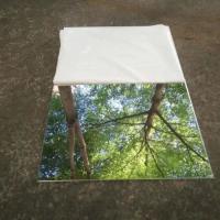 Buy cheap BA 316 316L Mirror Stainless Steel Sheet Polishing Corrosion Resistant Steel product