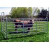Buy cheap Livestock Fence Panel With Oval Tube 30X60MM Vertical Tube 40X1.5MM For New Zealand Market from wholesalers